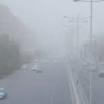 Биз биламиз! Ҳа-а, жуда яхши биламиз!!!