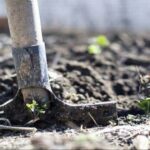 Дафн этиш ишларини рўйхатга олиш рақамлаштирилади