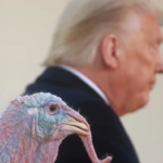 Трамп миннатдорчилик кунигача тинчлик келишувига эришмоқчи