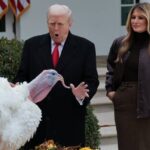 Трамп Курлика номли куркани афв этди