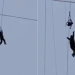 “Қамчиқ”да зиплайндан тушиб кетган қизнинг аҳволи қандайлиги ҳақида xабар берилди