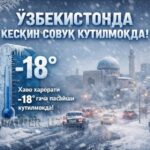 Об-ҳаво бўйича тезкор ахборот: Ўзбекистонда ҳаво ҳарорати –13 даражагача пасайиши кутилмоқда