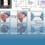 Ўзбек олимлари яраларни тез тузатувчи гидрогел кашф этди