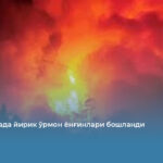 Аргентинада йирик ўрмон ёнғинлари бошланди