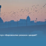 Украина учун «Фаровонлик режаси» қандай?