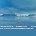 АҚШ Гренландиядаги манфаатлари йўлида бошқа давлатлардан “баҳона” сифатида фойдаланмасин