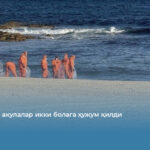 Сиднейда акулалар икки болага ҳужум қилди