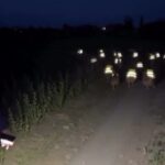 Иновацияни додахўжаси!..  (видео)