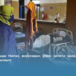 Бангладешда Нипаҳ вирусидан ўлим ҳолати қайд этилди — The Independent