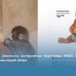 Панчнинг ўйинчоғи интернетни портлатди ИКЕА ўйинчоғига талаб кескин ошиб кетди