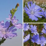 Минг марта кўрганман. Аммо бунча фойдаси борлигини билмасканман!..