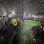 Футбол бўйича чемпионларга қўй берилди (Видеофакт)