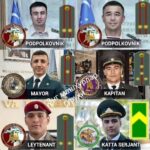 Сиз бу ҳақда биласизми?..