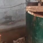 Нимага энди яширинган дейсанлар?! Ҳечам лдтинларини яширишмаган!.. (видео)