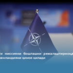 НАТО янги миссияни бошлашни режалаштирмоқда: «Арктик соатчи» Гренландияни ҳимоя қилади