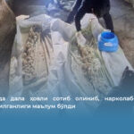 Андижонда дала ҳовли сотиб олиниб, нарколабораторияга айлантирилганлиги маълум бўлди