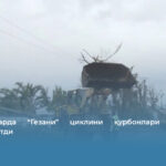 Мадагаскарда “Гезани” циклини қурбонлари сони 59 нафарга етди