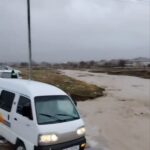 Ҳар йили аҳвол шу! Ҳар йили!!! (видео)