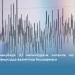 Туркия жанубида 5,1 магнитудали зилзила юз берди — Туркия Фавқулодда вазиятлар бошқармаси