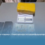 Янгийўлда «гашиш», Оҳангаронда эса дорифурушлар ушланди