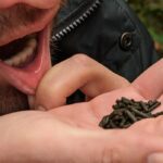 Дўстлар чекинг носни, ёнигиздан қувинг ўша-ўшани… Олимлар носвойда 10 турдаги заҳарли моддани аниқлашди!..