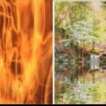 СИЗ ҚУРЪОН ТАФСИР ҚИЛАР ЭДИНГИЗ МЕН ЭСА ЗИНО ҚИЛИШНИ ЎЙЛАБ ЎТИРАРДИМ!..