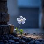 Шуларга эътибор қилинг. Ана ундан кейин сиздан бахтли одам бўлмайди…