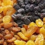 Юрак ва қон томирлар посбони