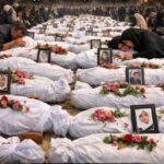 Ҳой, қотиил!!!