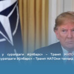 «АҚШсиз у суратдаги йўлбарс» – Трамп НАТОни танқид қилди