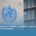 ЖССТ Исроилнинг Ливанда оқ фосфор ишлатгани ҳақидаги хабарларни текширмоқда