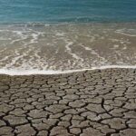 Йўқ, йўқ одамни қўрқитманглар! Ўзи шу камлик қилиб турганди!..