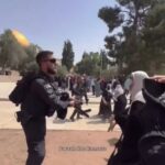 Айтишларича улар итни азобини кўриб ўлишаркан!.. (видео)