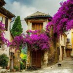 1 евролик уй ҳақида эшитганмисиз?!