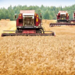 Қашқадарёликлар Беларусда ўз &laquo;давлатини қуради!&raquo;