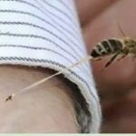 Нега ўлади?