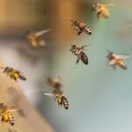 Аллоҳнинг балолари яҳудийлар устига ёпирилишда давом этмоқда!..