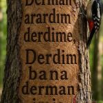 Виждоннинг ўлими