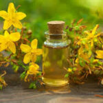 ОРГАНИЗМДАГИ ПАРАЗИТЛАРНИ ҚИРИБ ТАШЛАЙДИГАН ЎТ