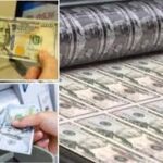 «Ўзига қолса-ку, ҳамма нарса мумкин! Муҳими — соққасини тўласин!..»