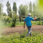 Фермер тажриба қўёнчаси эмас