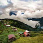 Туркия: яшил яйловлар, сокин табиат ва баҳорий фестиваллар