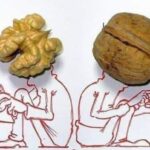 &laquo;Ахлатга улоқтирилишни истамасангиз, «мағиз» йиғинг!&raquo;