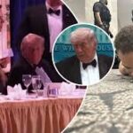 Трамп яна &laquo;ҳақ&raquo; берадиган бўлди!..