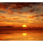 Унга бутун дунё берилибди