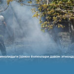 Япония шимолидаги ўрмон ёнғинлари давом этмоқда