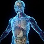 Сиз ўзингизни танийман деб ўйлайсизми? Унда буни ўқинг ва даҳшатга тушинг!