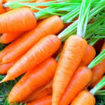 Нима учун сабзини албатта ёғ билан ейиш керак? Муҳим қоидалар!