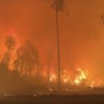 АҚШнинг жануби-шарқидаги ёнғинлар оқибатидан 50 дан ортиқ уй ёниб кетди 