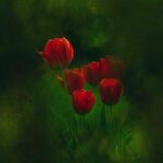 ОХИРАТНИНГ ЯГОНА ВАЛЮТАСИ